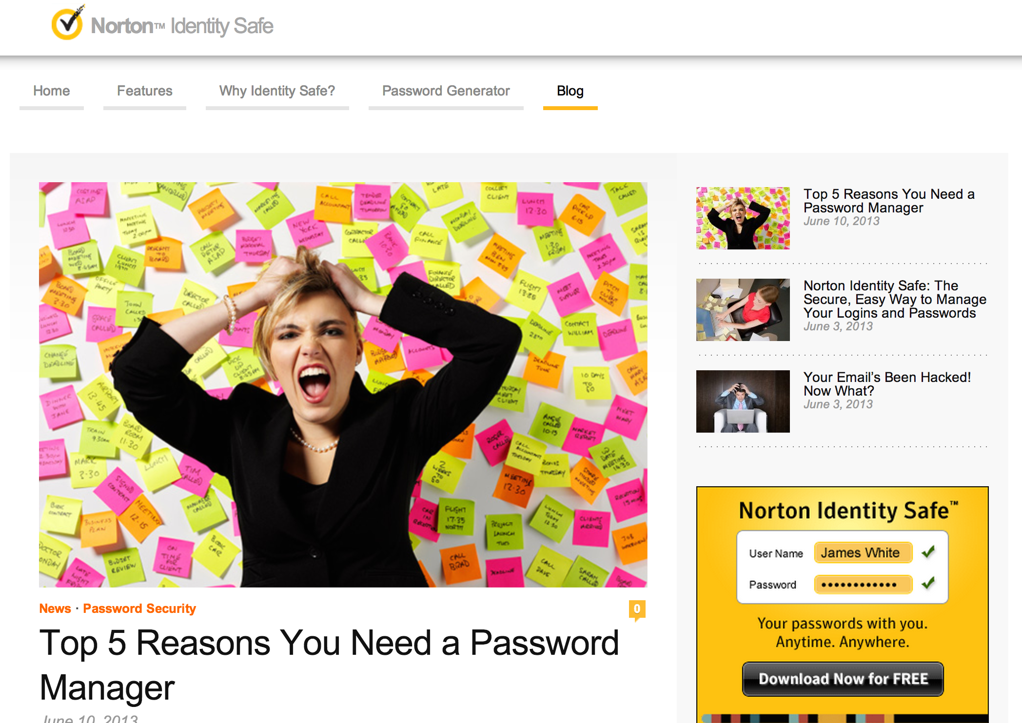 Norton / Symantec case study